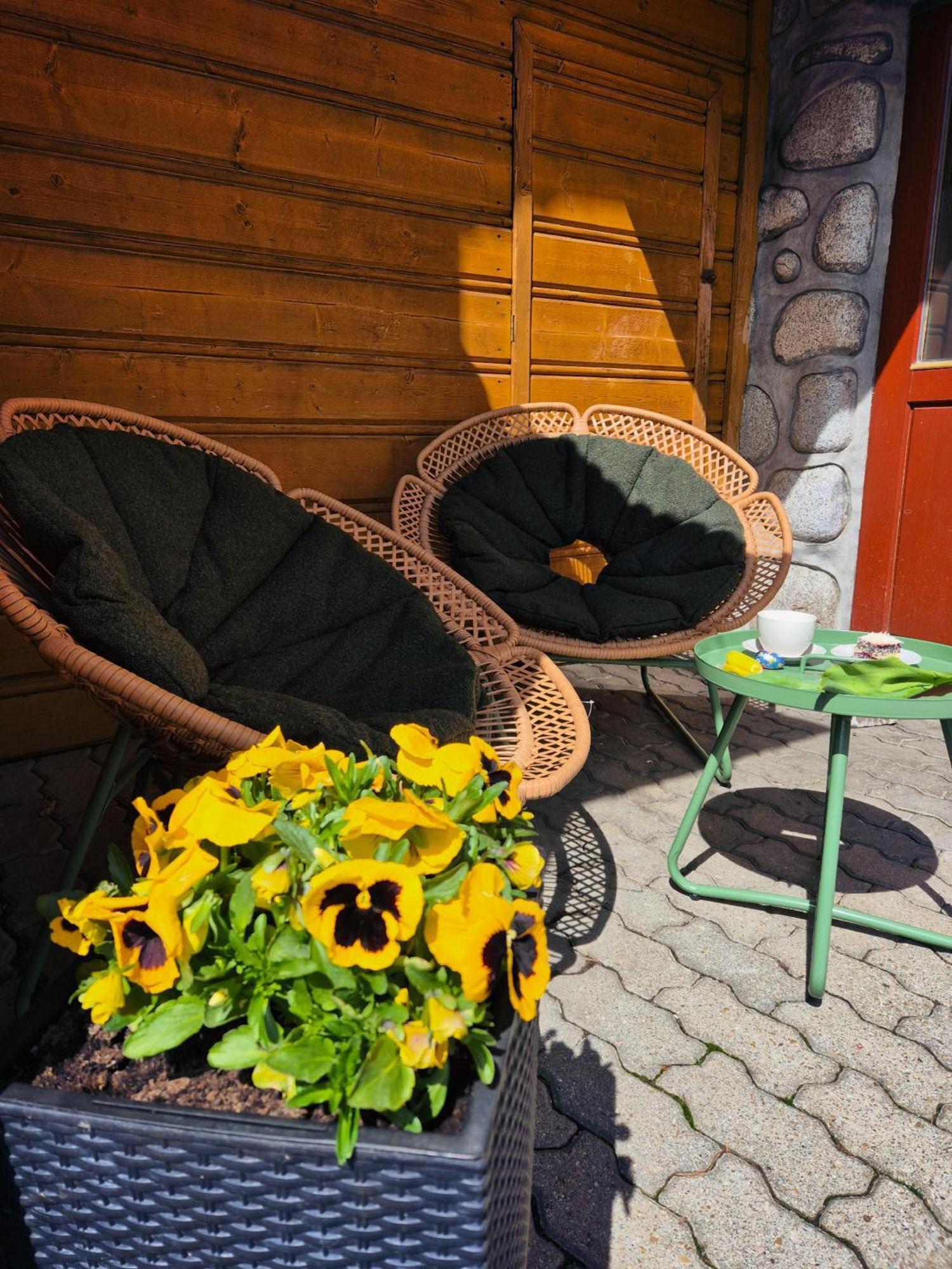U Parow Sauna & Jacuzzi Bialka Tatrzanska Buitenkant foto